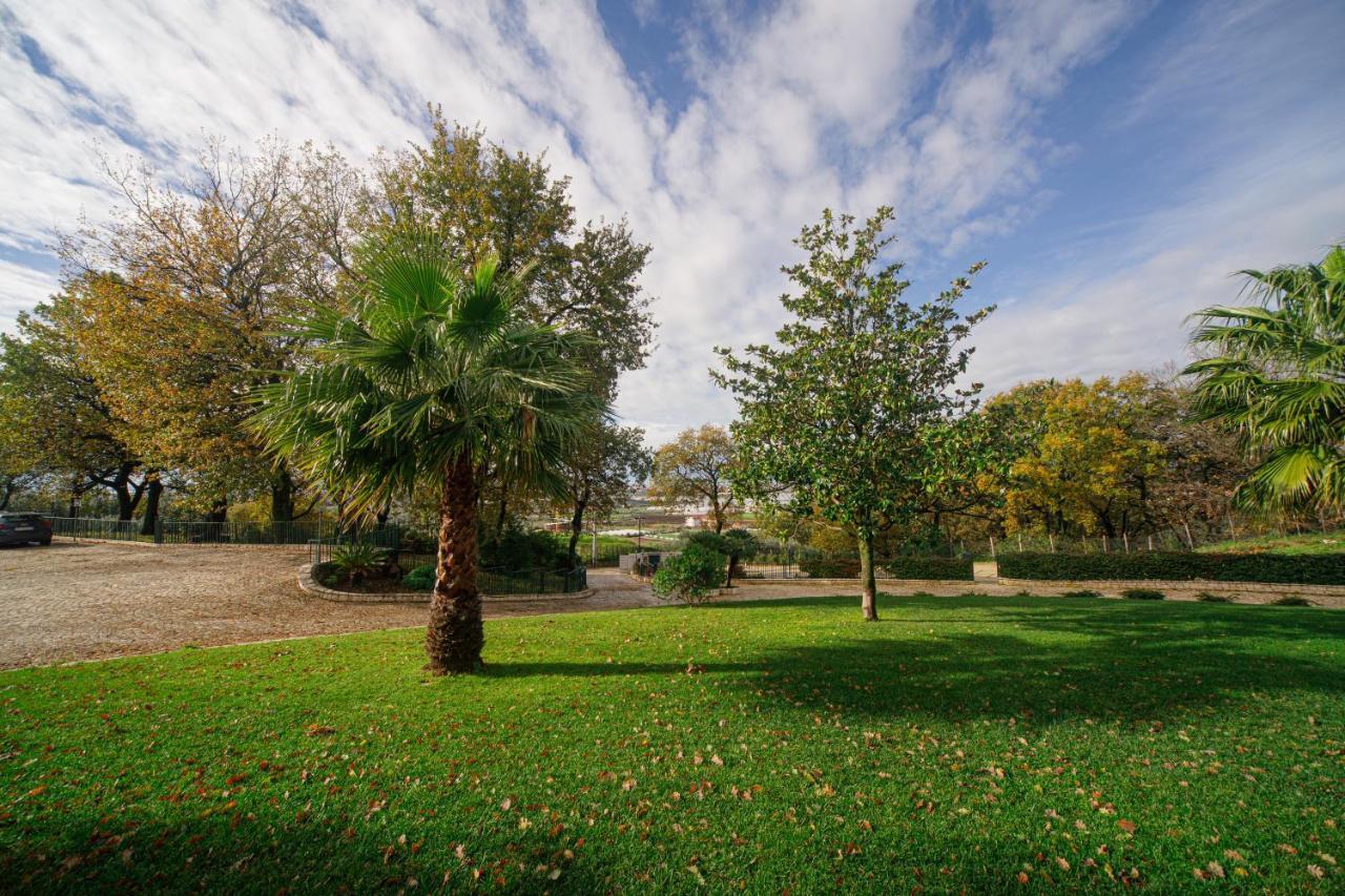 Aria - Villa Di Campagna Montecorvino Rovella Exterior photo